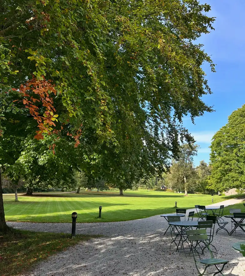 Grusgång under stora träd i Slottsparken, med gröna bord och stolar